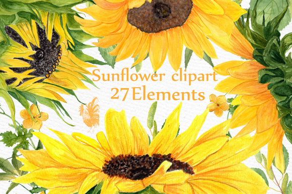 Sunflower Watercolor Clipart: Hand-Painted Floral Assets